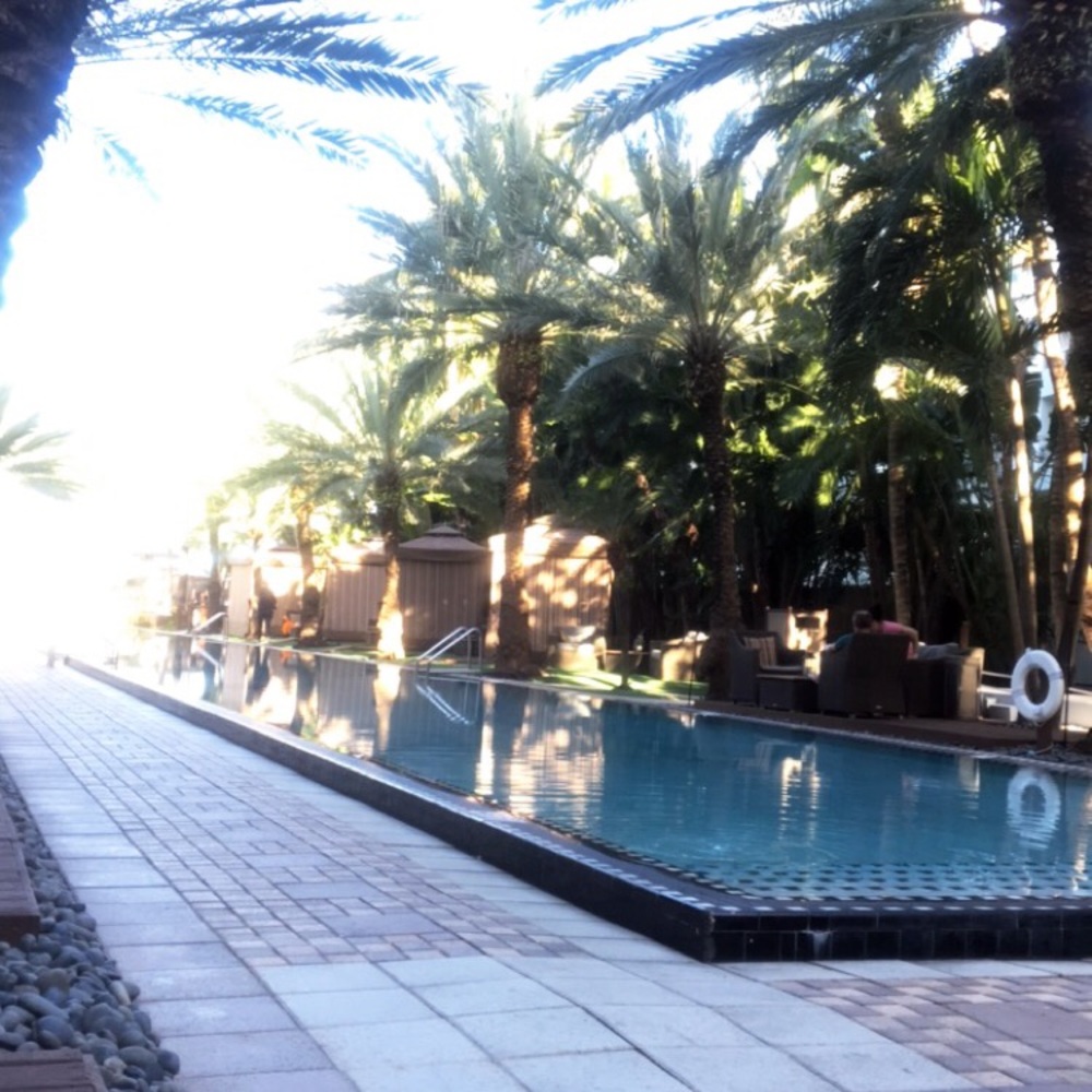 Meet your Posher, Anastasia